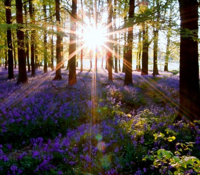 ShannonHypnotic's tweet image. Studies show that patients using hypnosis improved more than 70% over those who relied on talk therapy alone. Rediscover your best self through hypnotherapy. shannon-doyle.com/toxic-relation… 
#hypnosis #hypnotherapy #toxicrelationships #toxicpeople #toxicfamily
#toxicrelationship #toxiclo