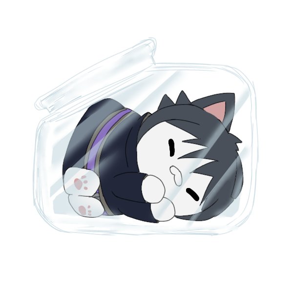 롱냥이 tweet media