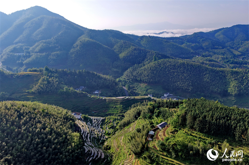 PDChinese's tweet photo. 【江西崇義：春漾梯田 綠染山鄉】日前，江西省崇義縣上堡鄉上堡梯田，開灌後的梯田與森林、民宿相映成景，呈現出一幅綠意盎然的生態鄉村畫卷。 https://t.co/E1jtm7x2fn