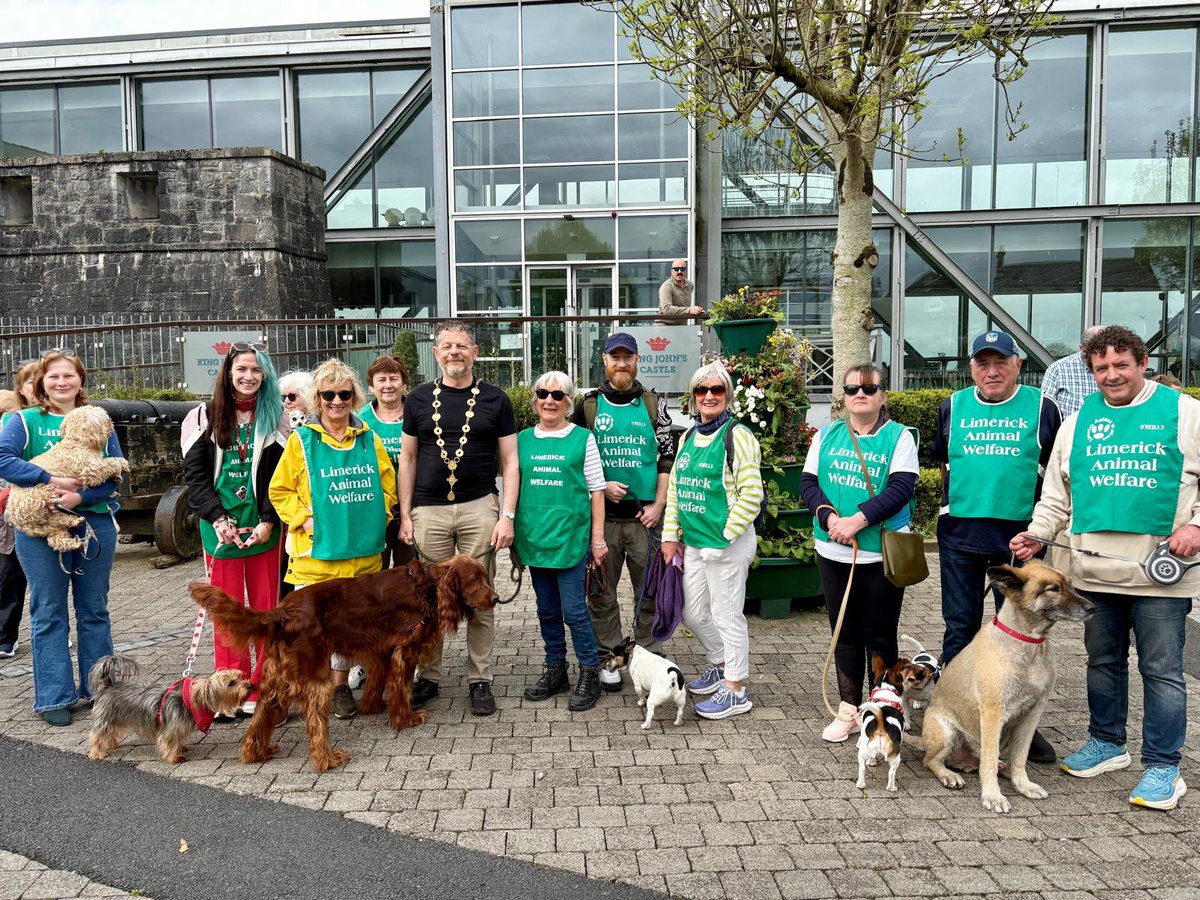 Mayor of Limerick tweet media