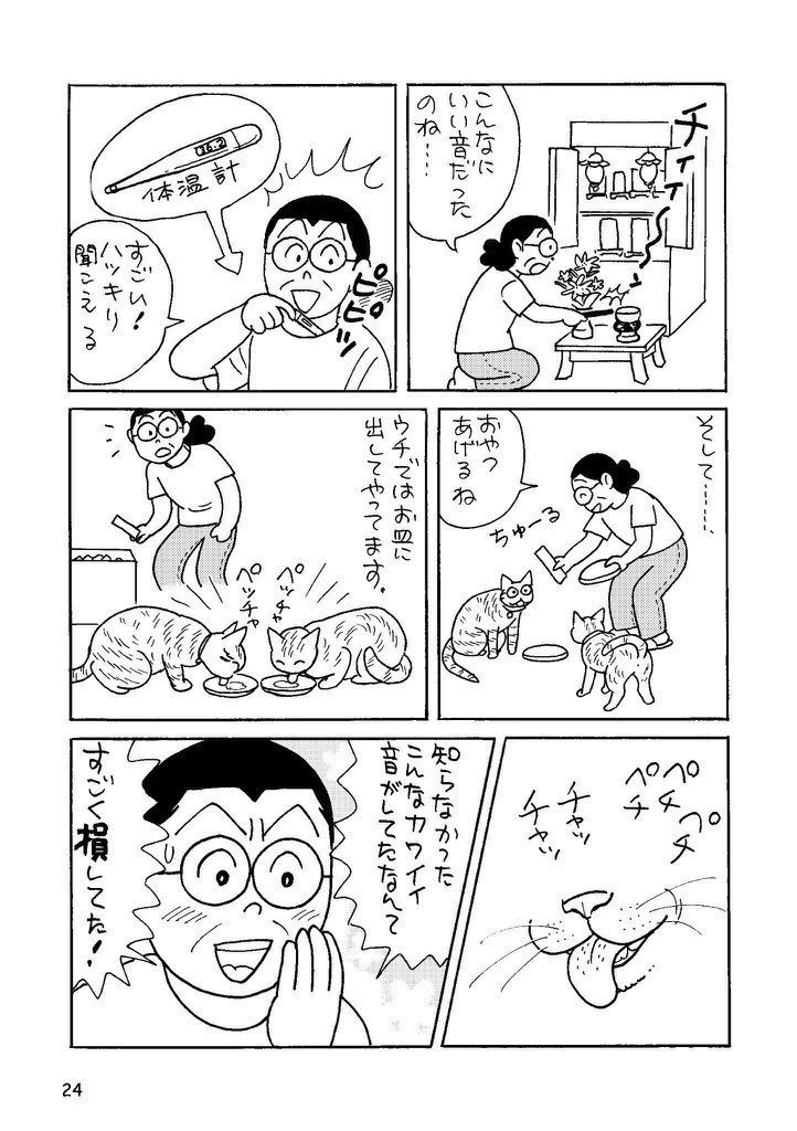 セツコ・山田(猫おばさん) (@setsuko_yamada) / Posts / X