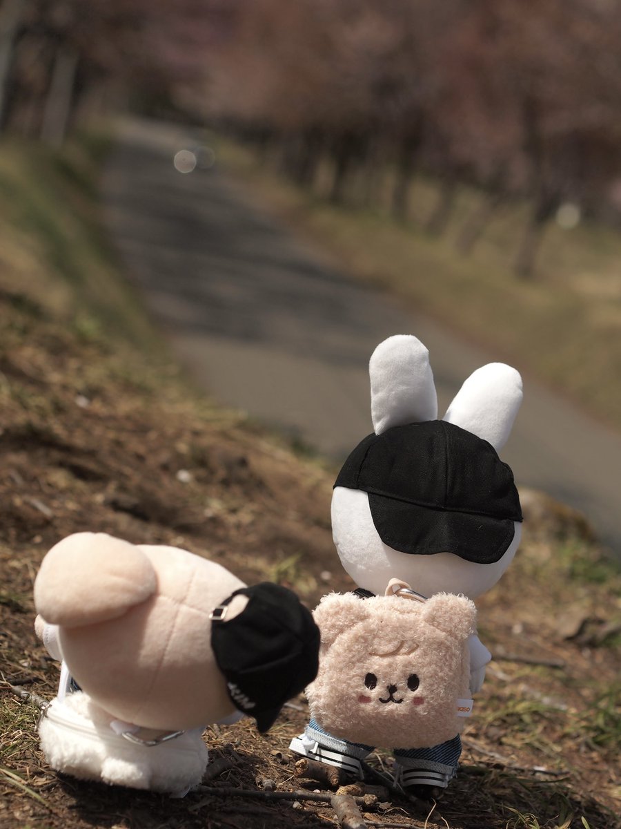 ジモス🐰🍮🐶 tweet media