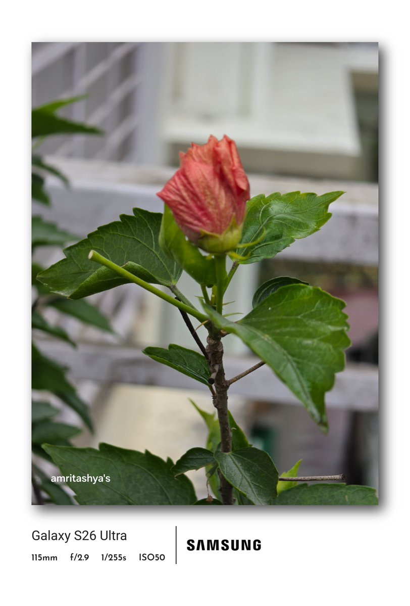 amritashya's tweet image. Wishing you all a fantastic week ahead, friends! 🌟 #Week #Friends