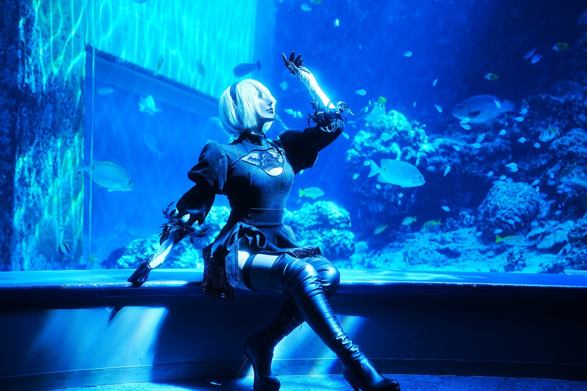 海洋博公園・沖縄美ら海水族館 tweet media