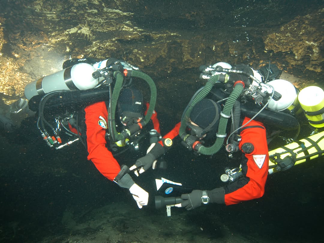 LoS-Scuba tweet media
