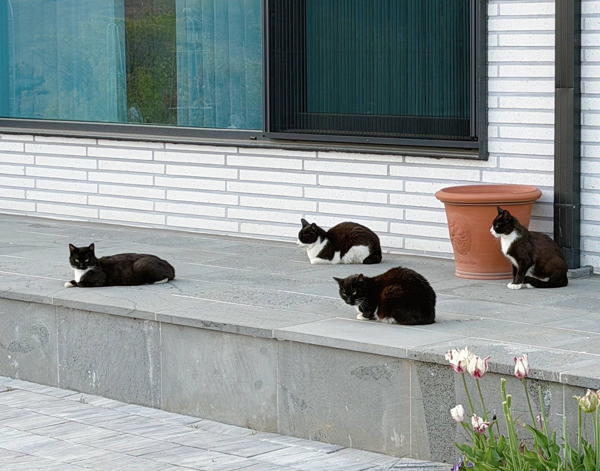 몽상가의 정원🌷 tweet media