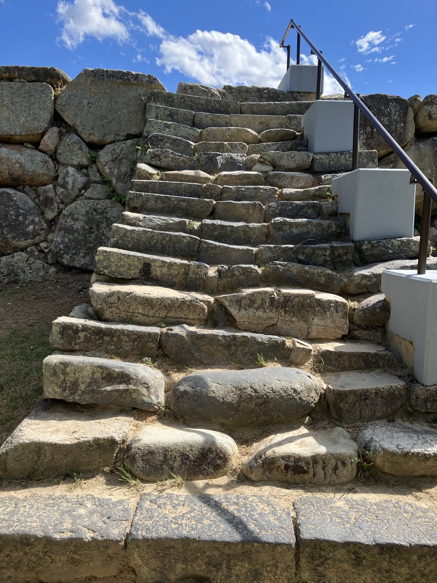 【城郭道】たっきー（新） tweet media