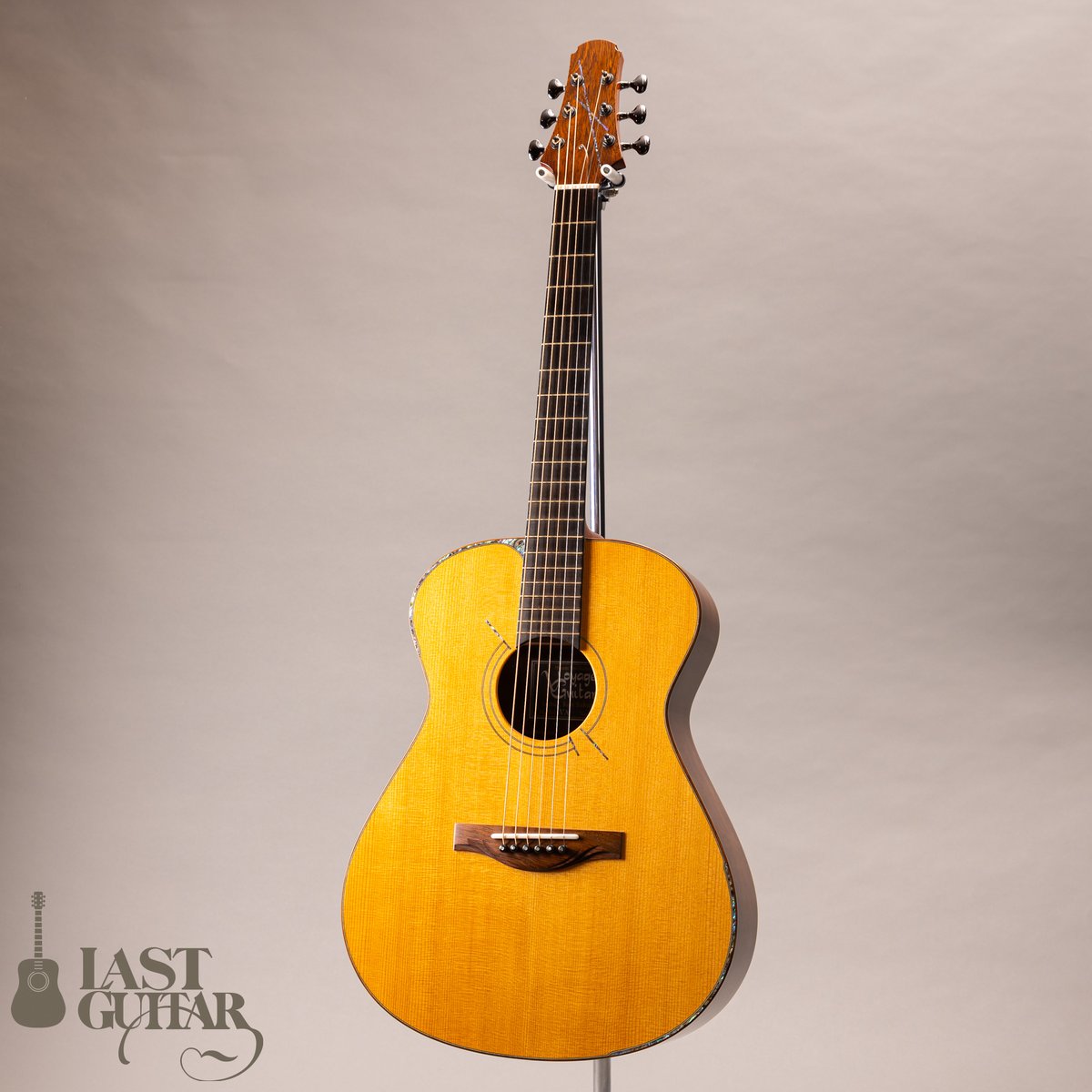 LAST GUITAR tweet media