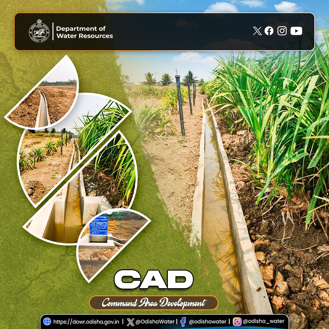 OdishaWater's tweet image. Construction of #FieldChannel in Mendarajpur under #RushikulyaCommand, Rangeilunda Block, #GanjamDistrict has been completed.

291 m of lined channel, along with 20 hydraulic structures, have been constructed to provide sustainable irrigation to 31.77 ha of agricultural land,