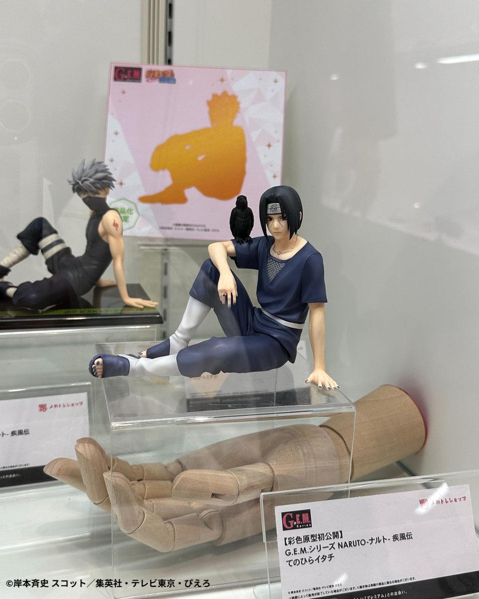 メガハウスとり子 tweet media