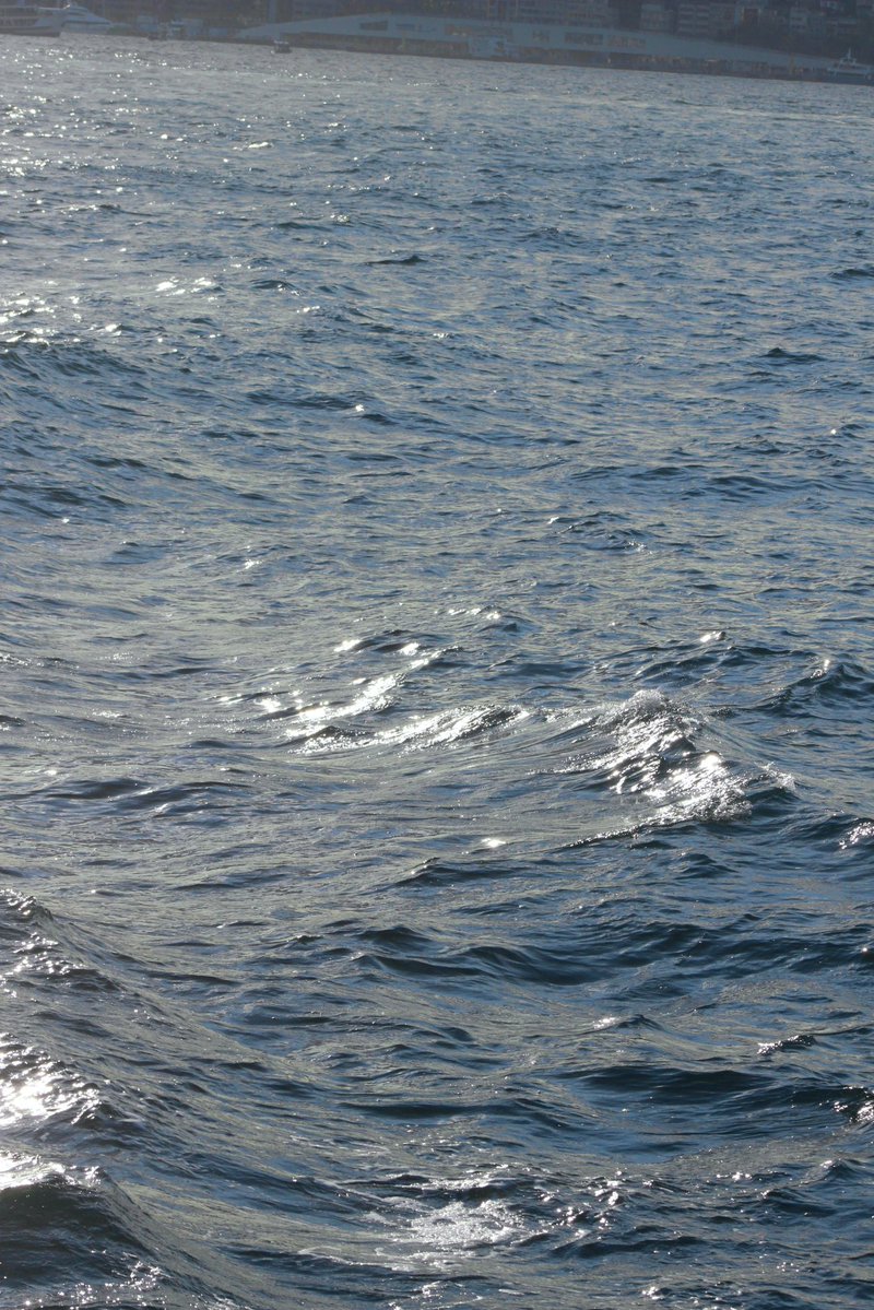 moon🌙 tweet media