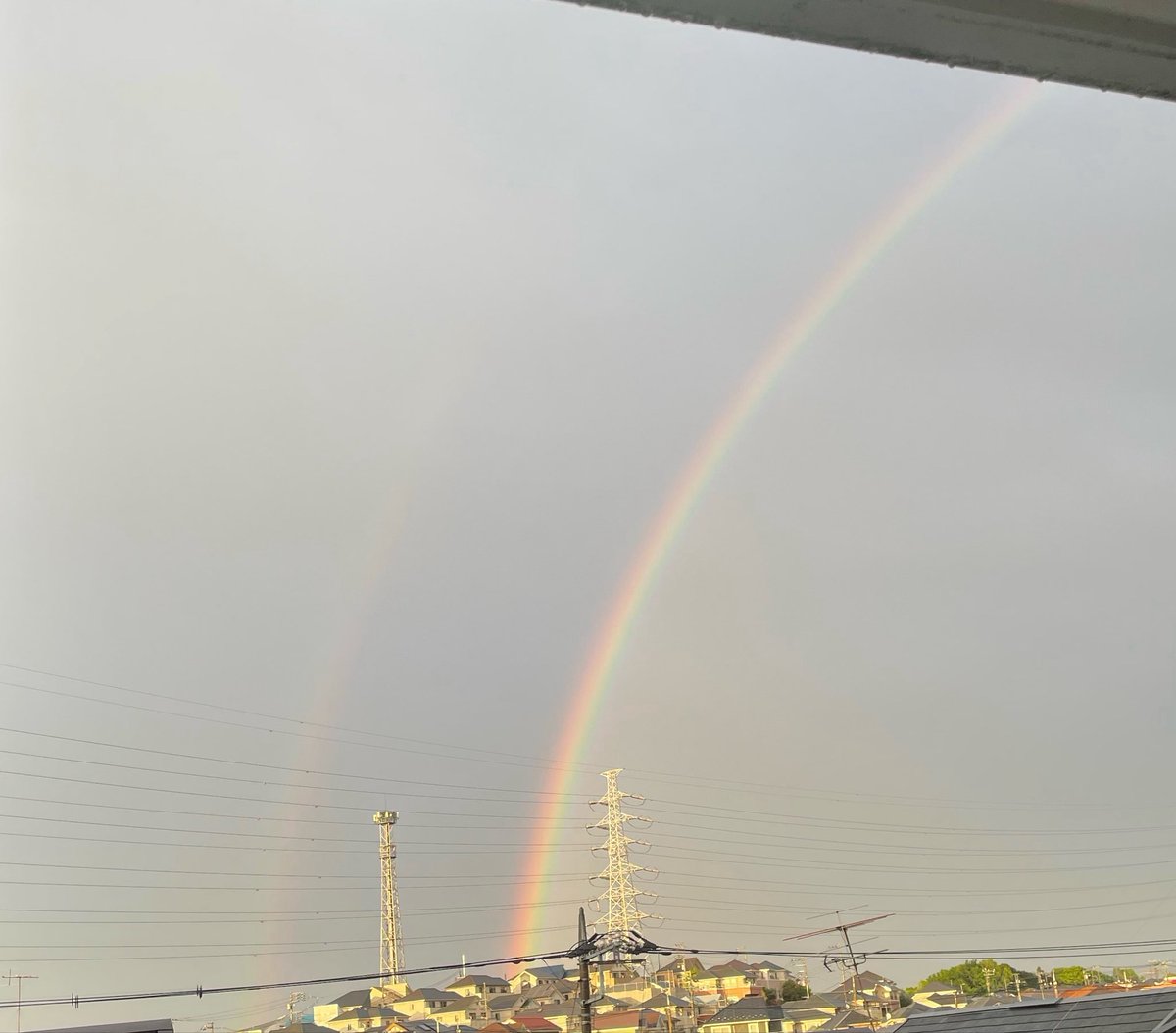 井上 凌 tweet media