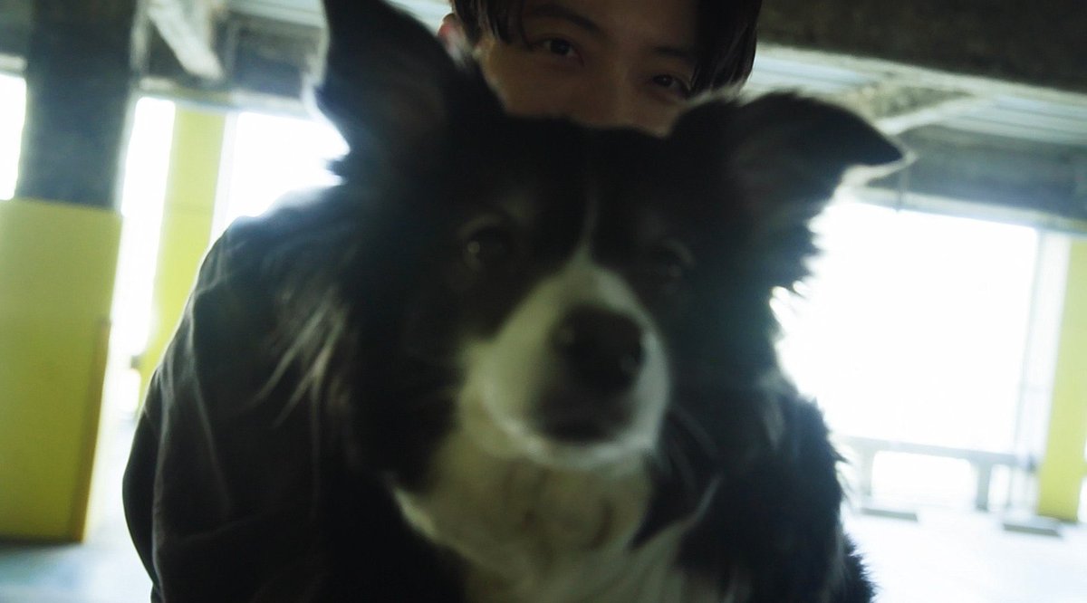 리안 tweet media