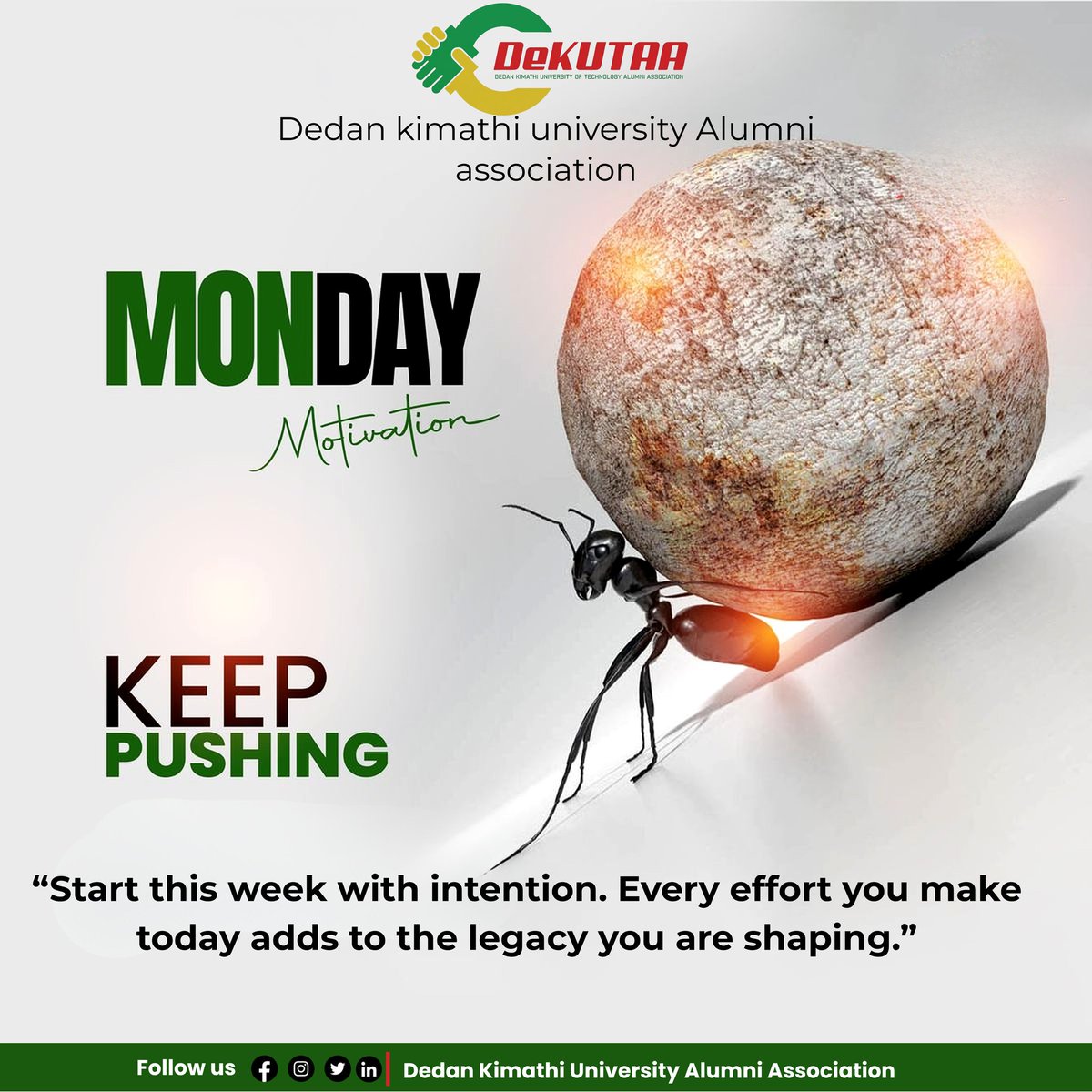 kid_elan73837's tweet image. Small steps. Heavy goals. Relentless consistency.

This week, show up, push forward, and build something that lasts. Every effort counts.

#MondayMotivation #KeepPushing #DeKUTAA #StartStrong