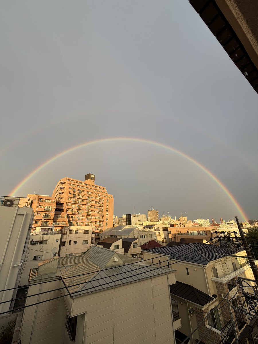 さくらの父 tweet media