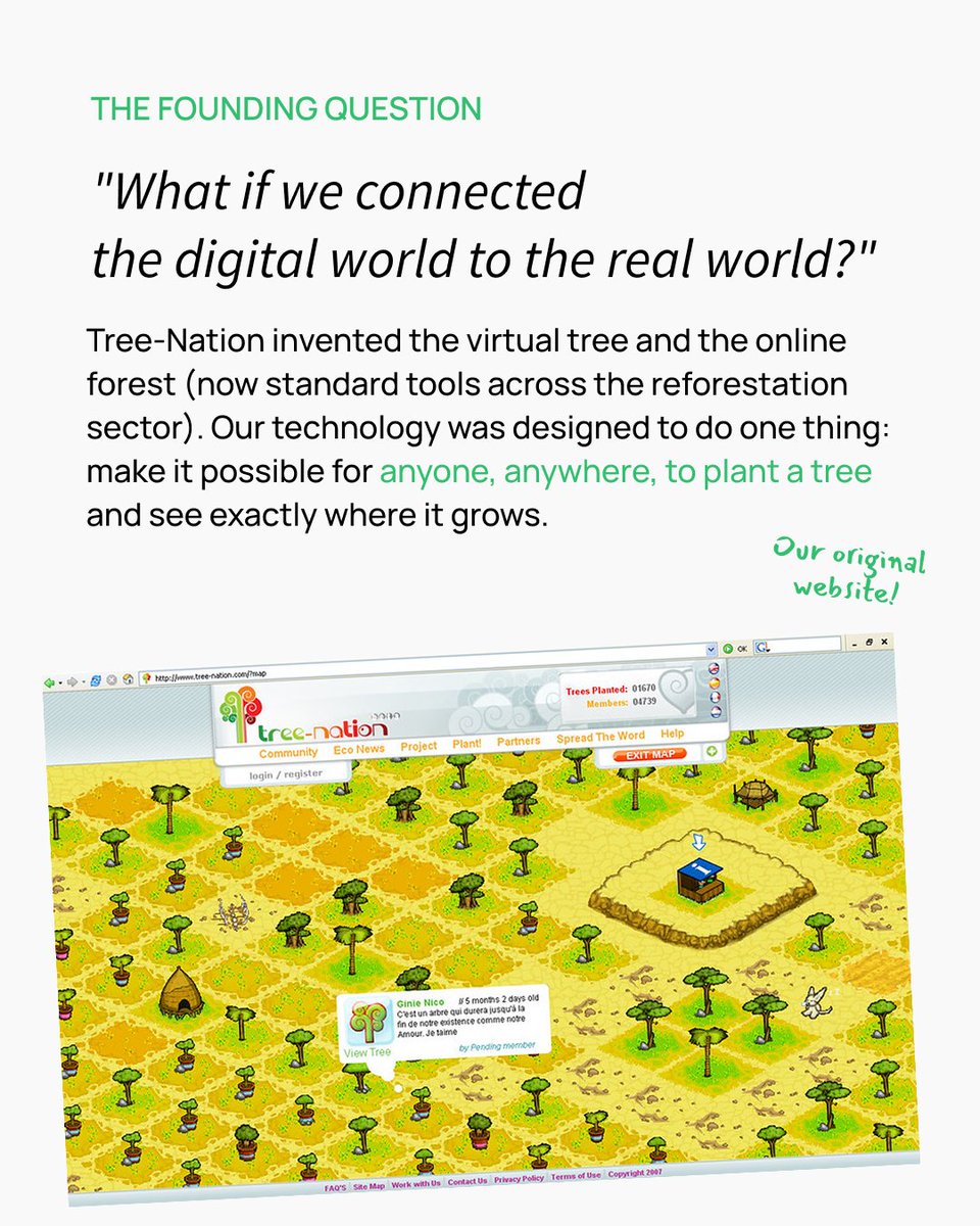 Tree-Nation tweet media