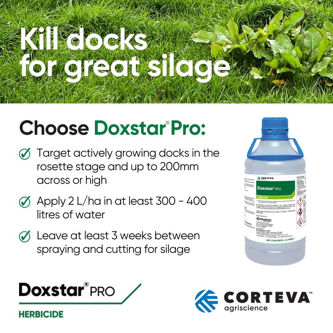 CortevaIE's tweet image. 🌿Early season dock control yields you more grass!

Applying Doxstar® Pro in April helps tackle docks well ahead of first cut, giving grass the chance to re-colonise and maximise silage potential.

corteva.com/ie/products-an…

#Docks #DockControl #Silage #GrowGreatGrass