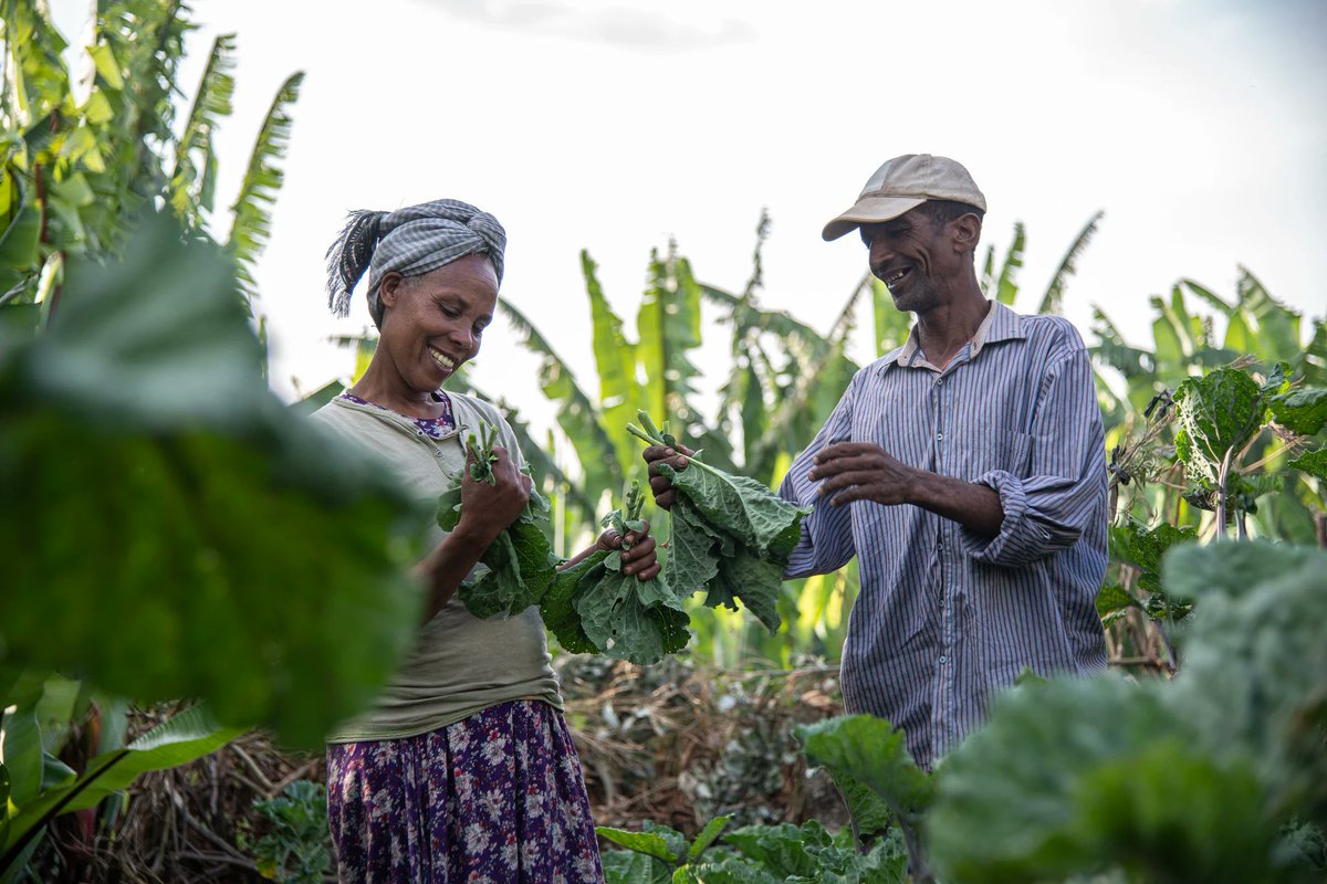 HopeAndBeyondUg's tweet photo. One of the core objectives of the 2026 #WorldHealthDay is to, "support the One Health approach, highlighting the connection between human, animal, and environmental health".

Are you on the right track? 

#vision2030hab 

Photo credit: @WHO https://t.co/gCYfLB0Oja
