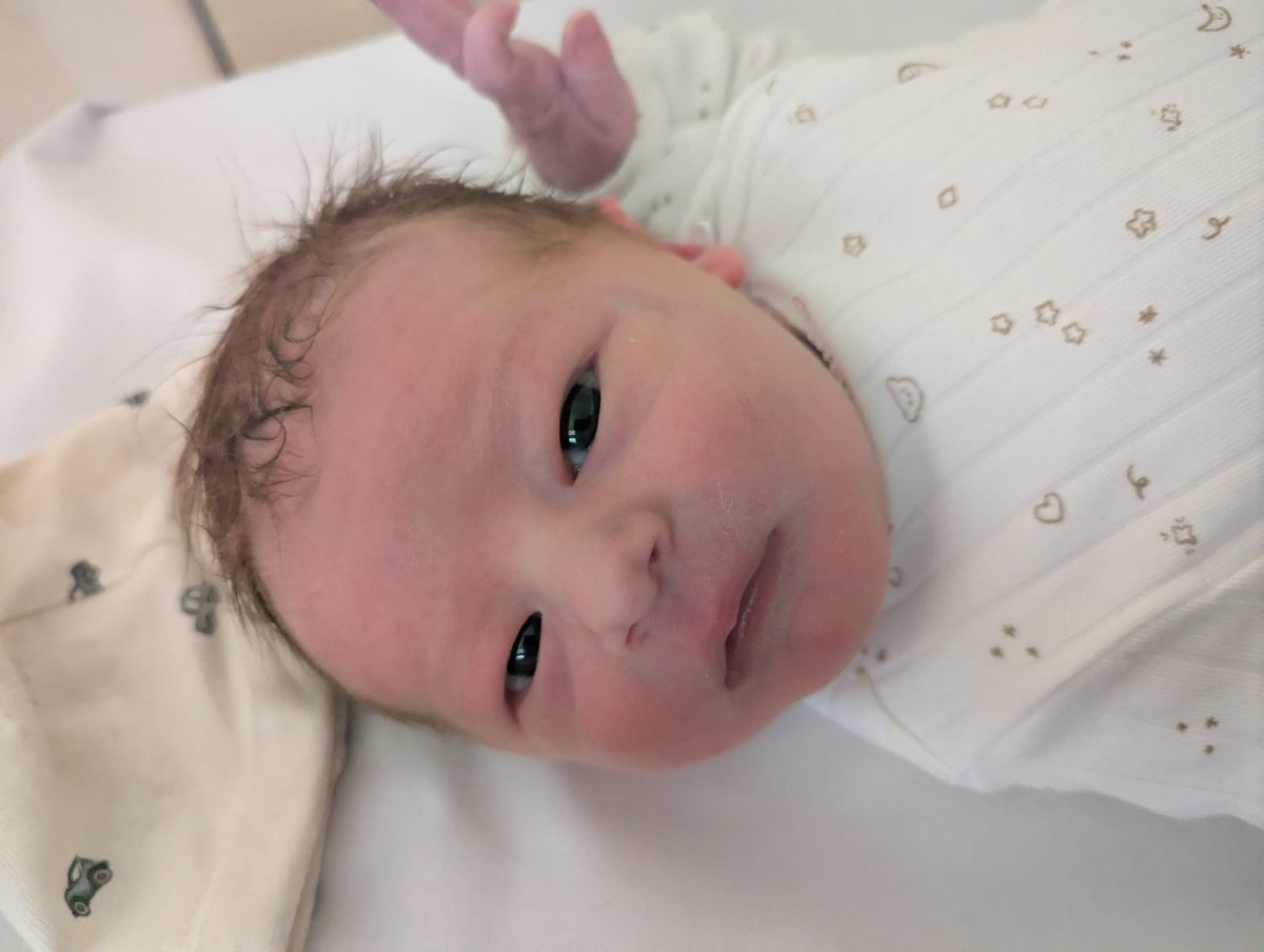 Steve Kennedy tweet media