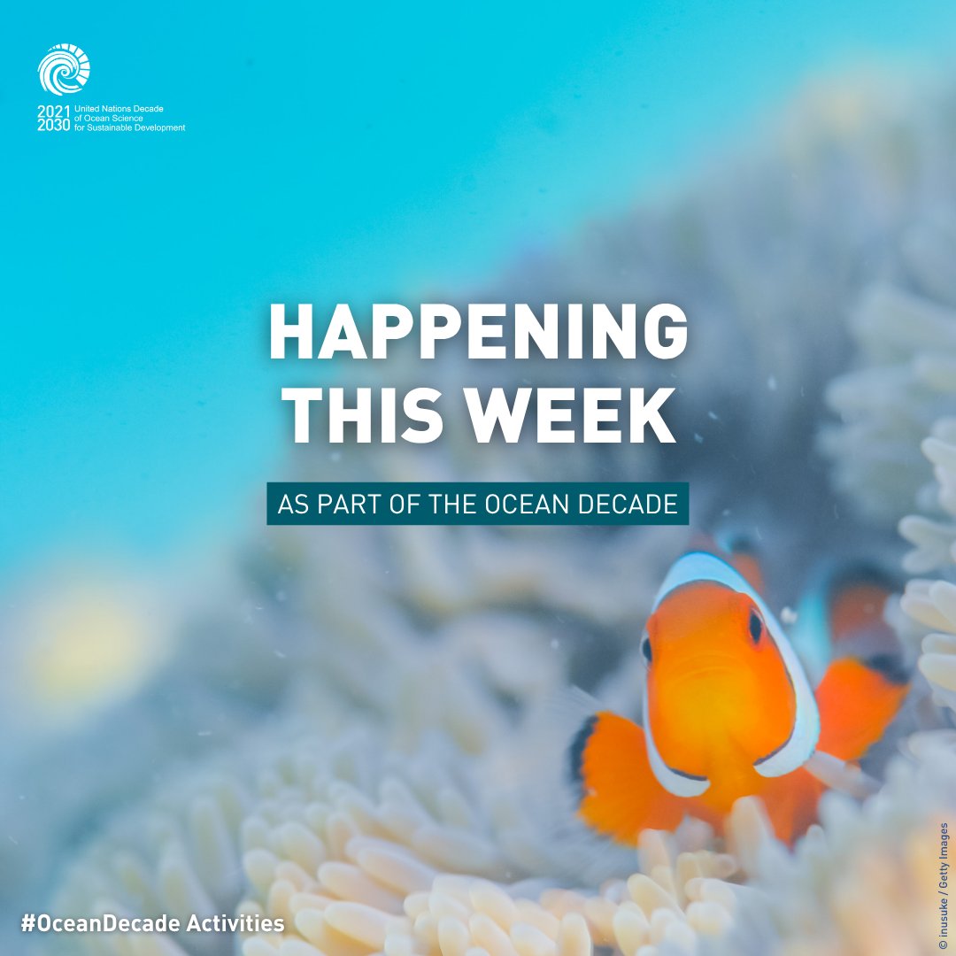 UN Ocean Decade tweet media