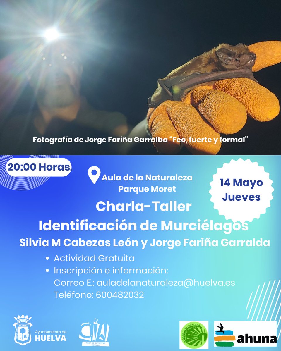 Centro de Informacion Juvenil Municipal de Huelva tweet media