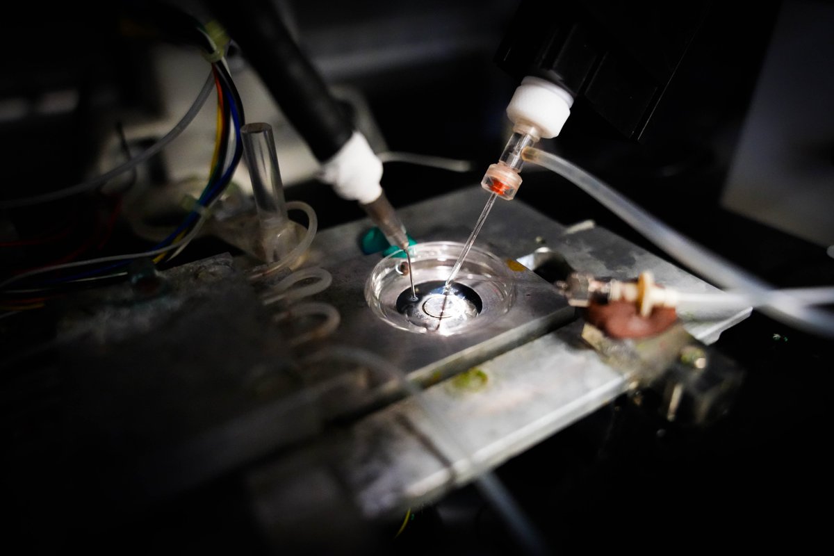 Università degli Studi di Milano-Bicocca tweet media