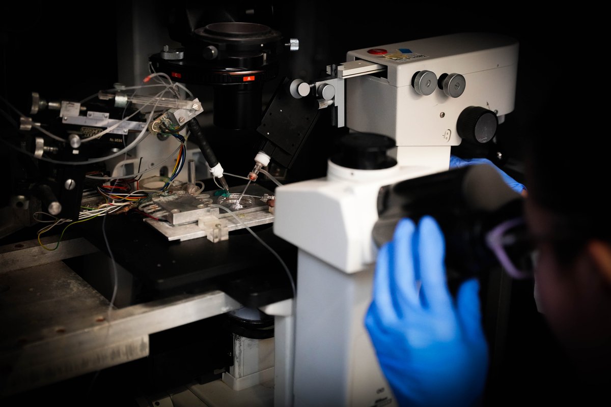 Università degli Studi di Milano-Bicocca tweet media