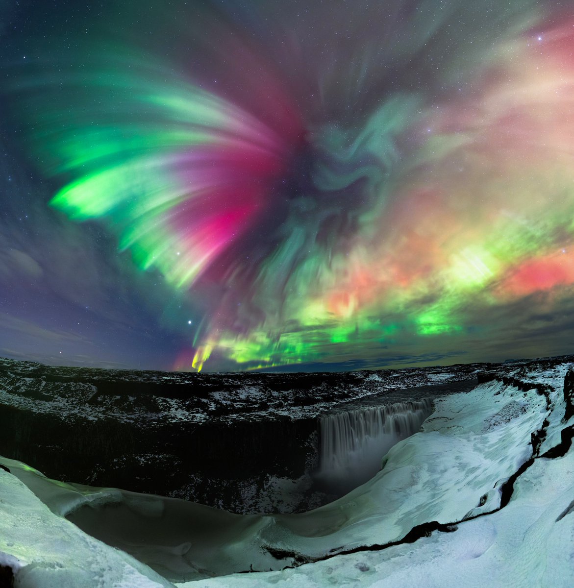 Night Sky Today tweet media