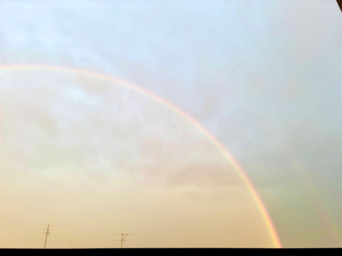 きひろ tweet media