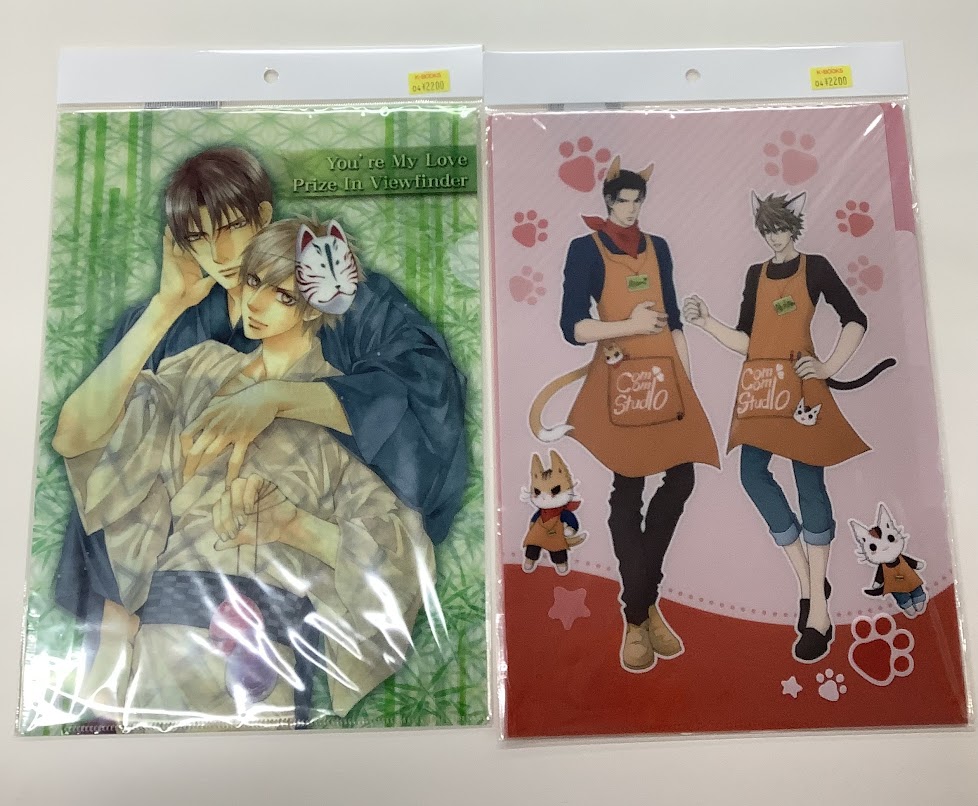 乙女館閉店しました】 やまねあやの先生『ファインダーシリーズ