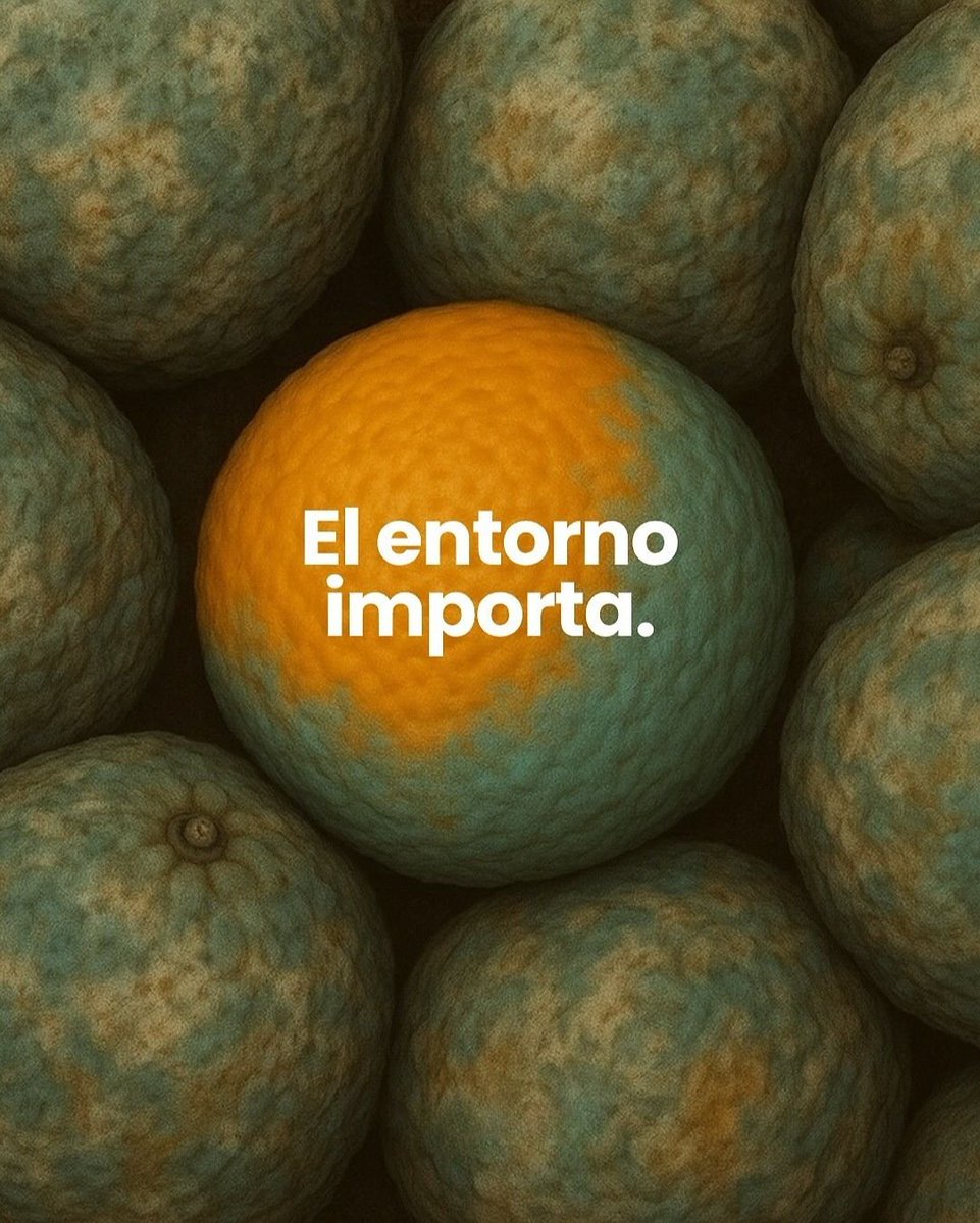 "Los antiguos decían:  "Si convives con un cojo, acabarás cojeando". No hablaban solo del cuerpo, sino del espíritu. Adoptas la actitud, la forma de ver la vida y los hábitos de quienes te rodean. Si te relacionas con personas que viven quejándose, terminarás pensando que todo es