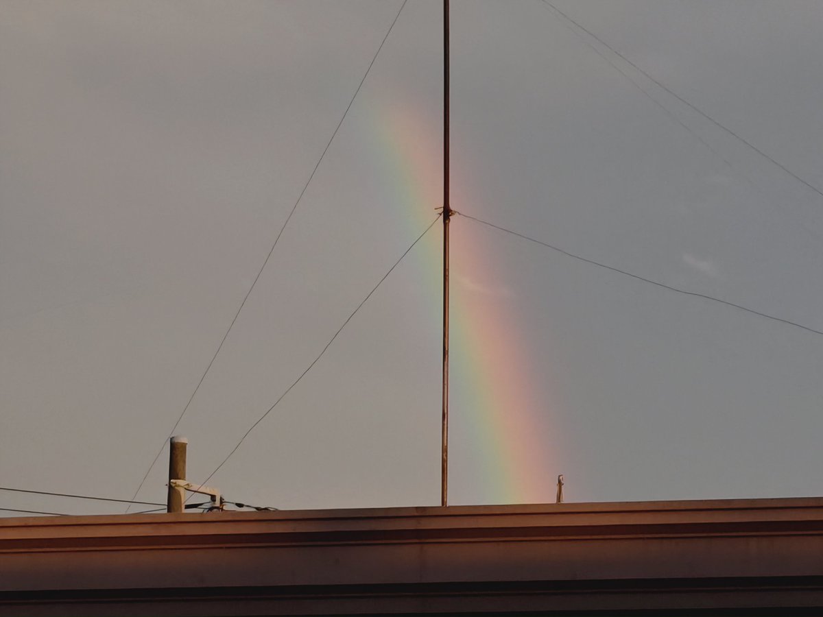 雨上がりにようやく晴れてきて虹でてた🌈