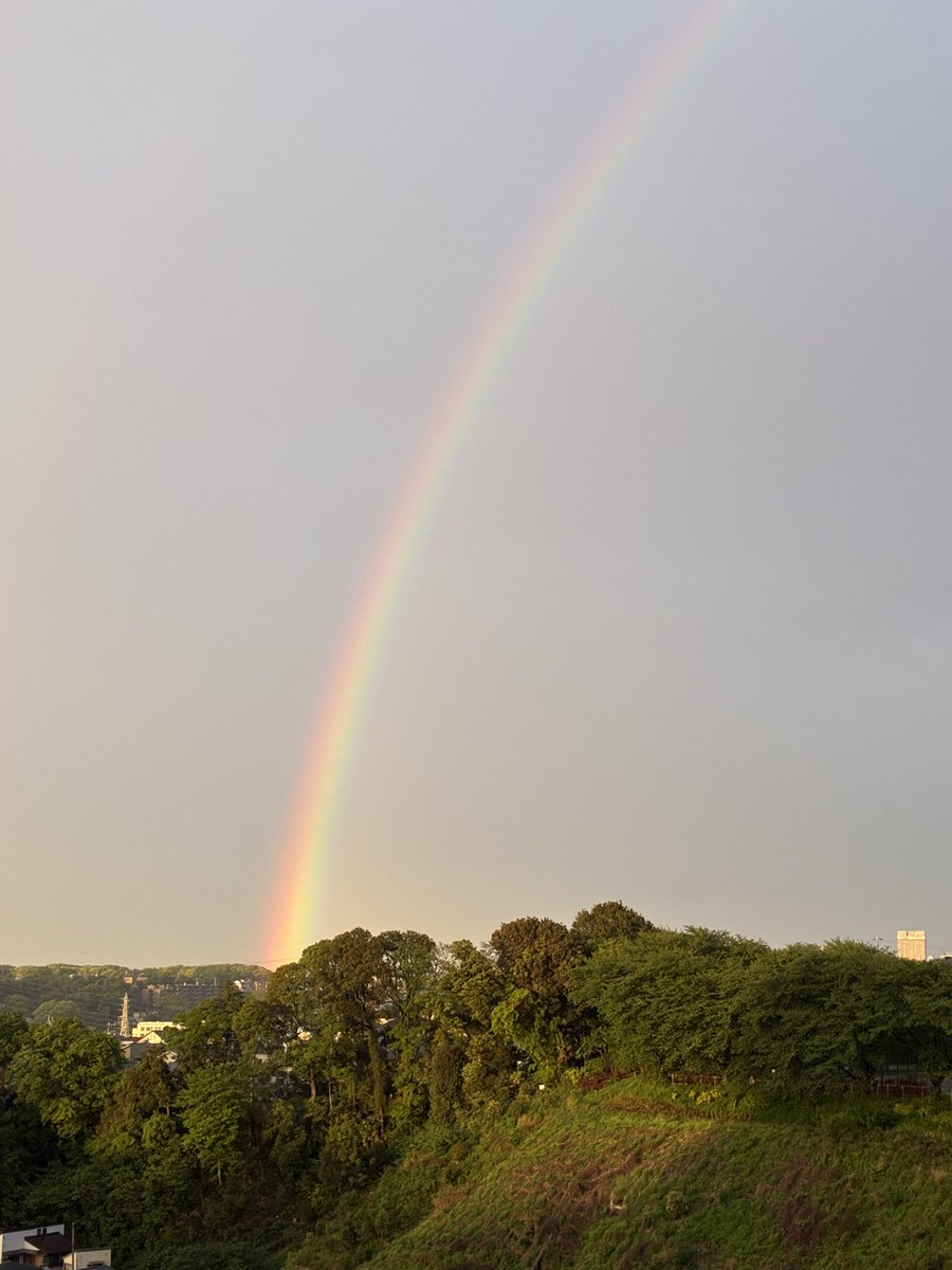 KINA （木南沙織） tweet media