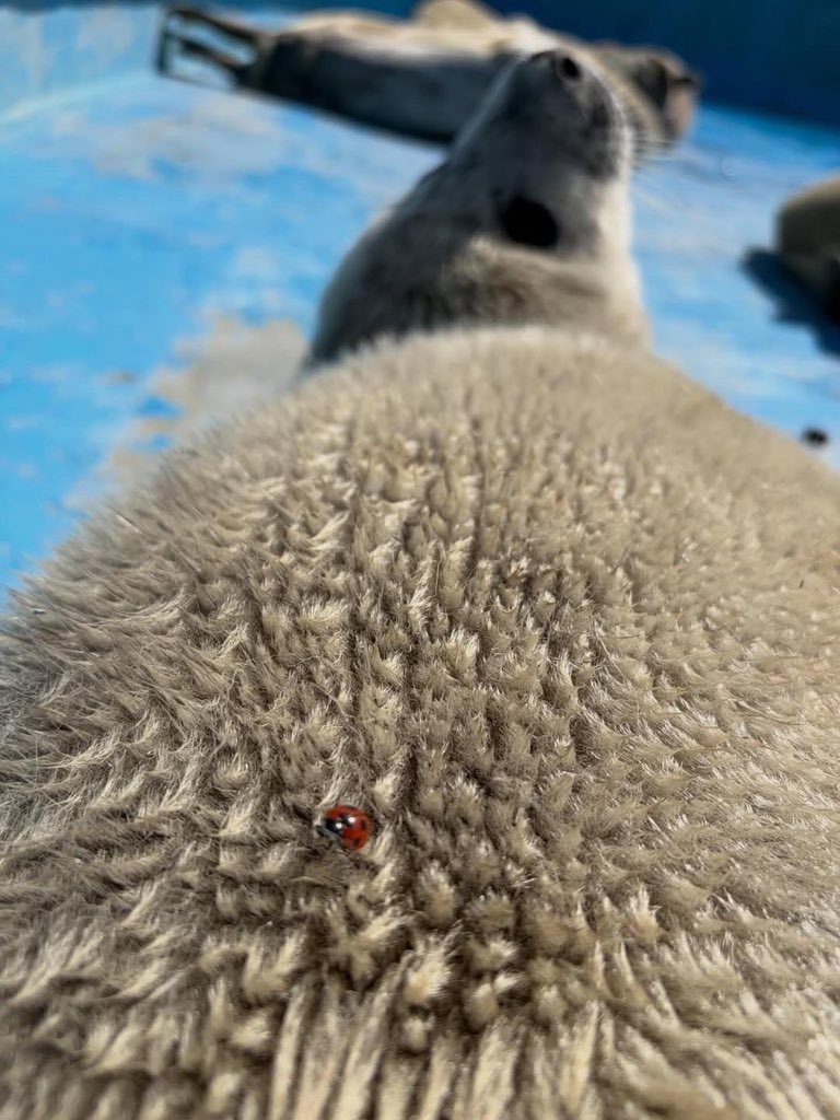 𝕷𝖊𝖓𝖆°❀⋆.ೃ࿔*:･ tweet media