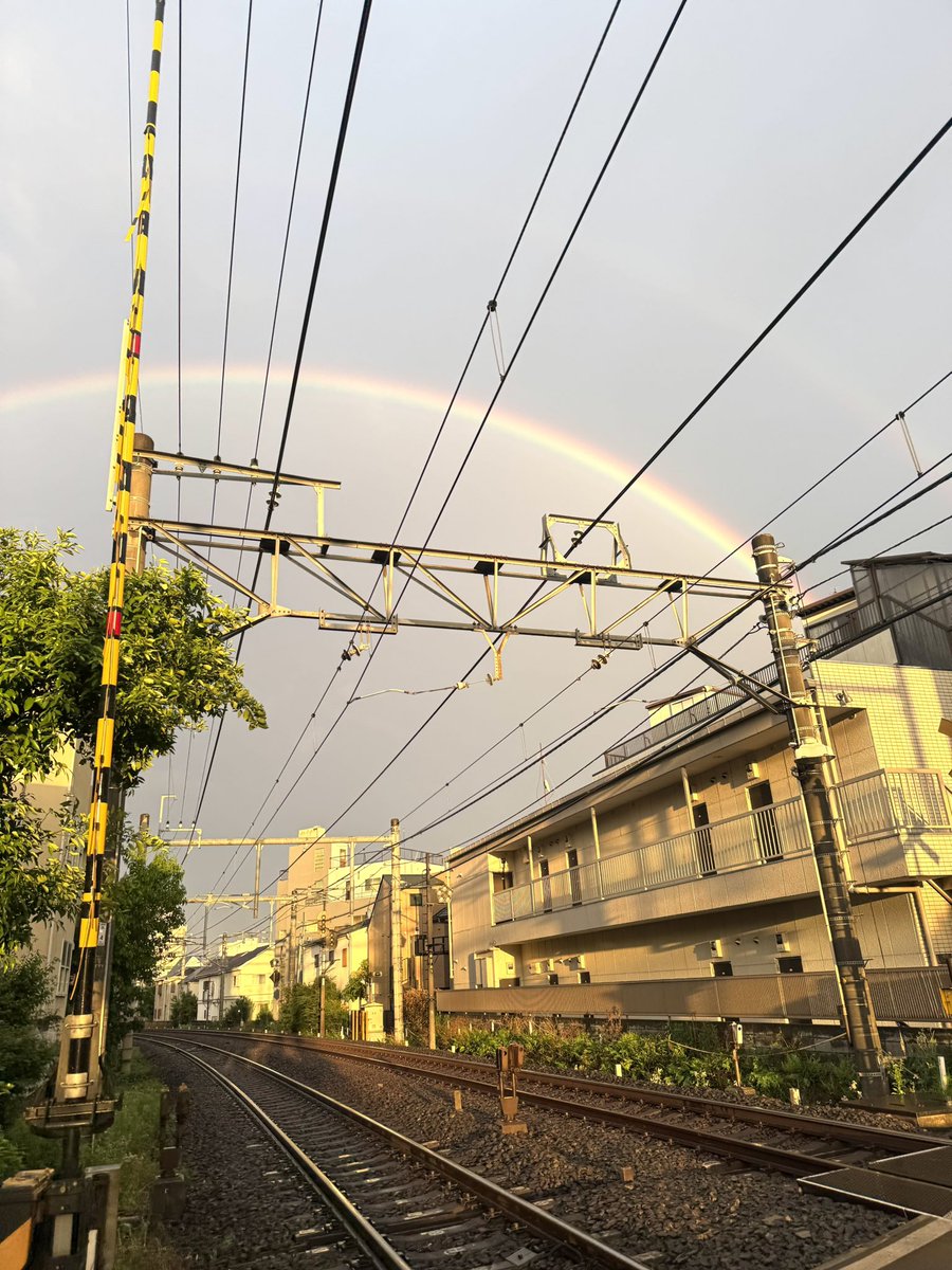 氷野@キクタン中国語と日記帳 tweet media