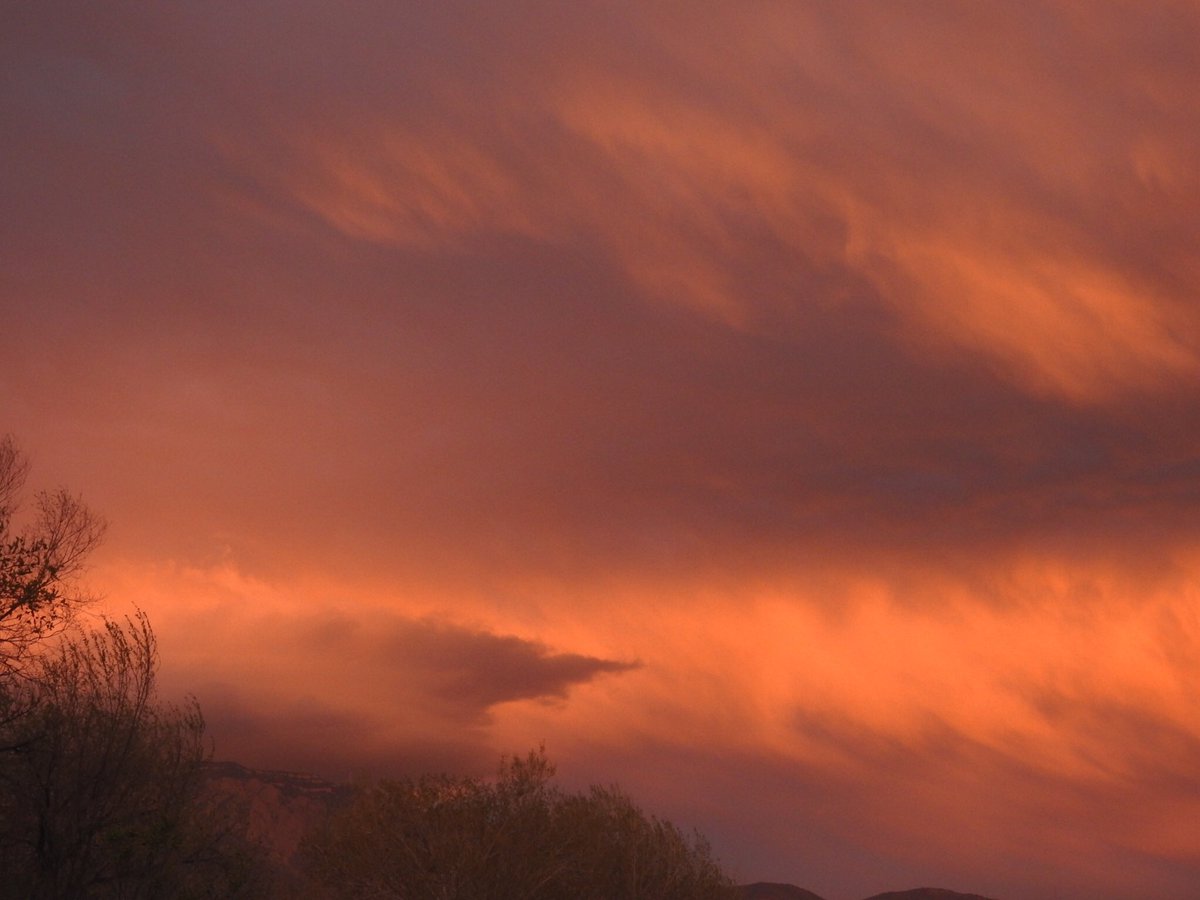 Objet l’Artist tweet media