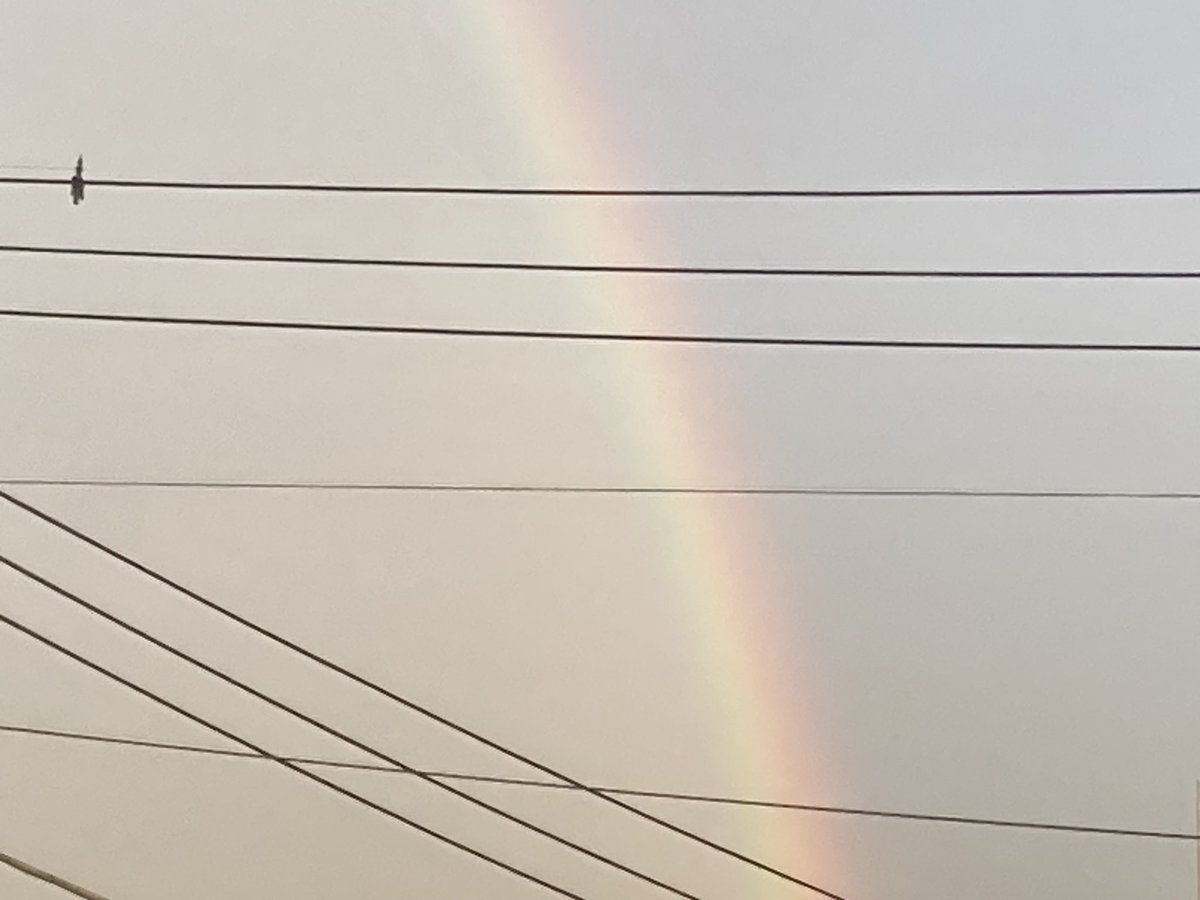 ウメスケ tweet media