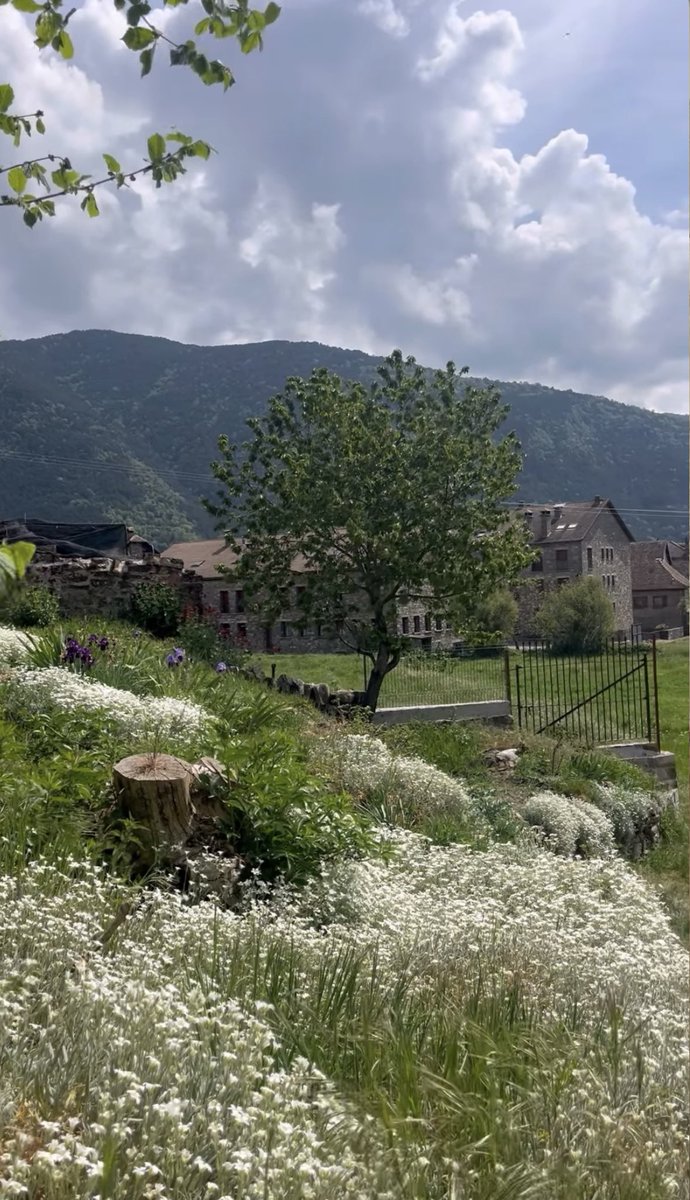 Lorena tweet media