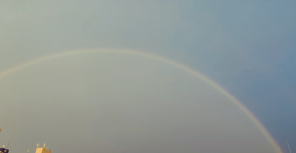 NoRi/ImpCats@GVB tweet media