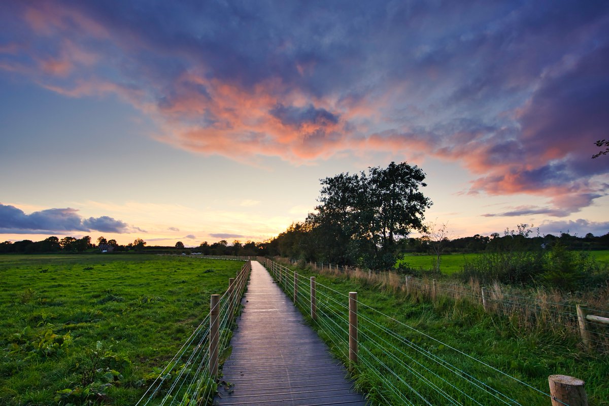 Seamus Heaney HomePlace tweet media