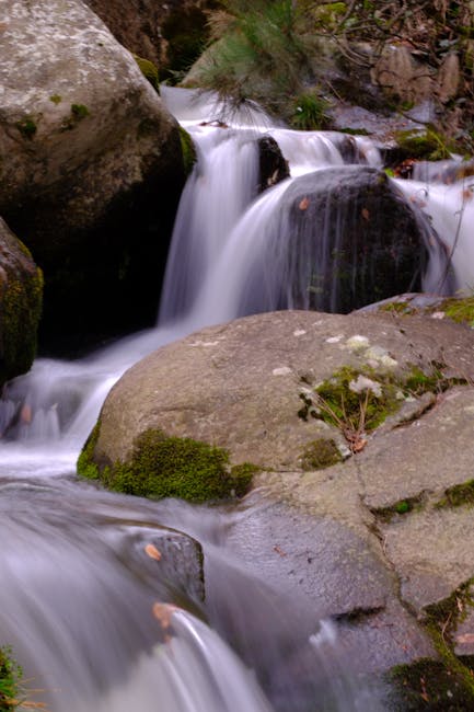 Richard Shaffer tweet media