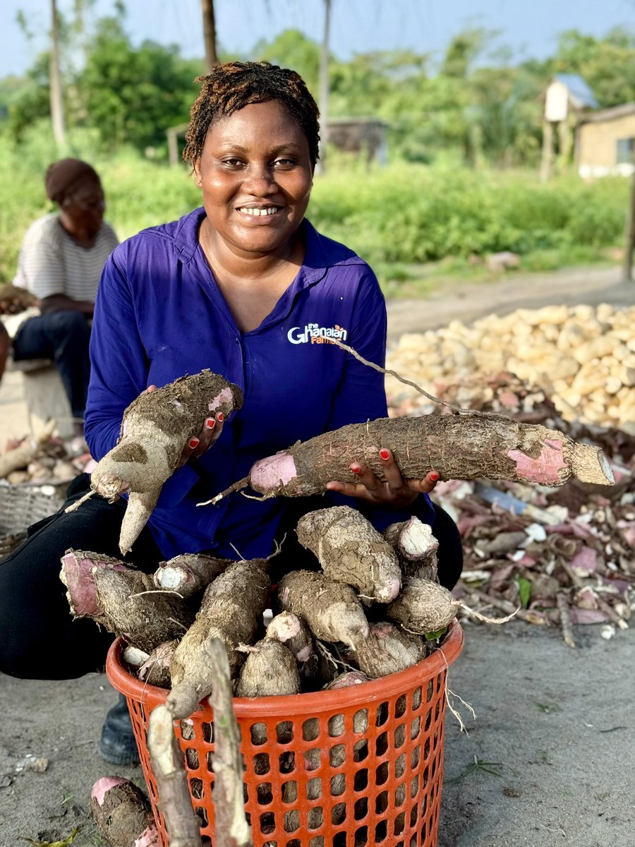 EnyonamManye's tweet photo. Monday morning.
Farmers don’t fear Mondays… but let’s be honest—
how many people can survive ONE week doing what farmers do? 🌱
Early mornings, bad roads, unpredictable weather, rising costs… yet food must be ready.
Be honest—could you do it?
#NoFarmersNoFood #MondayDebate https://t.co/iKoSnycZV3