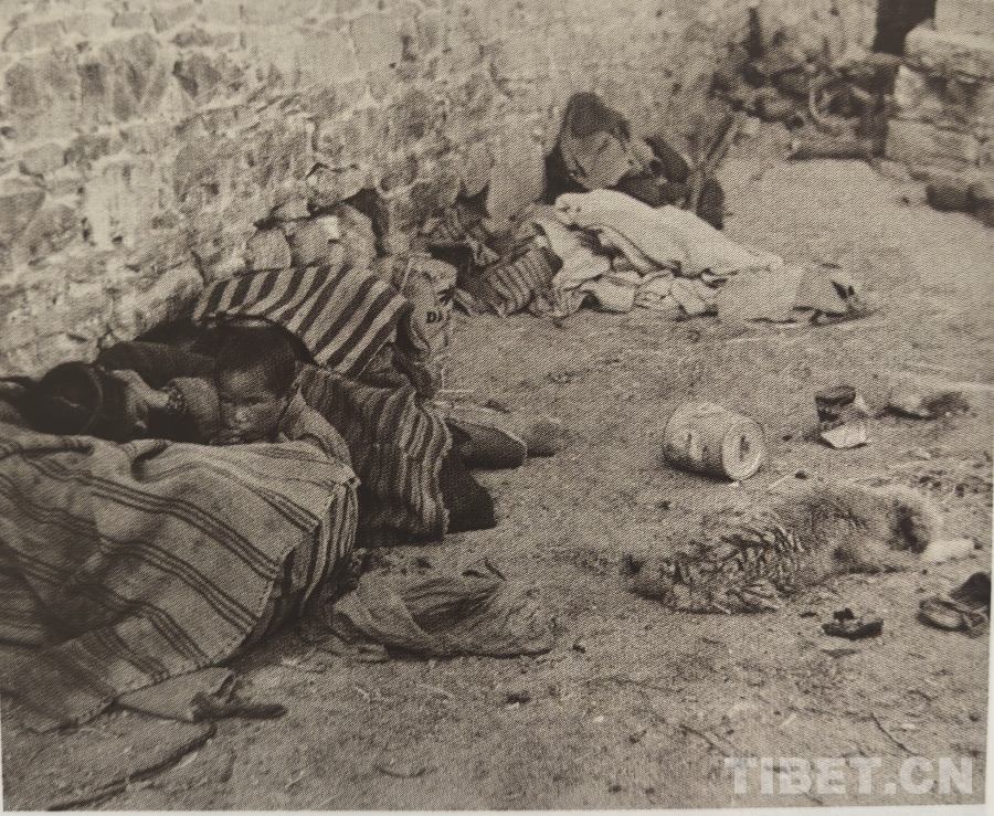 TibetNews11's tweet image. Lang Sheng e Chaba testimoniano per "i crimini più gravi contro l'umanità" durante il periodo dell'oppressione del #DalaiLama