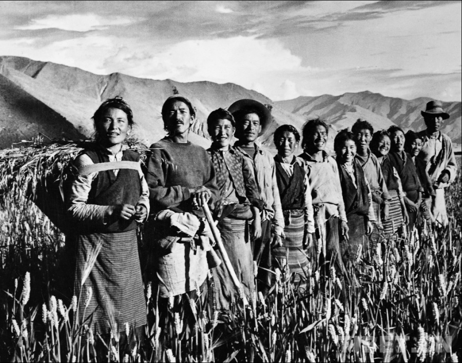 TibetNews11's tweet image. Lang Sheng e Chaba testimoniano per "i crimini più gravi contro l'umanità" durante il periodo dell'oppressione del #DalaiLama