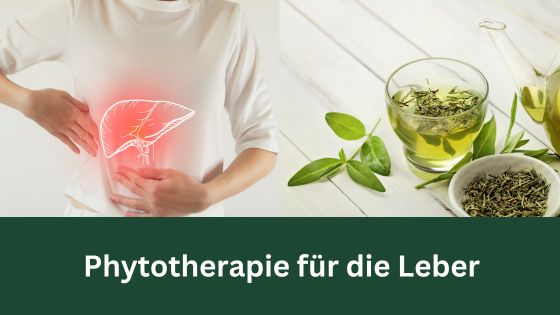 SennInfo's tweet photo. Phytotherapie für die Leber https://t.co/dhOQNwatDe https://t.co/YRX9hAQYxo