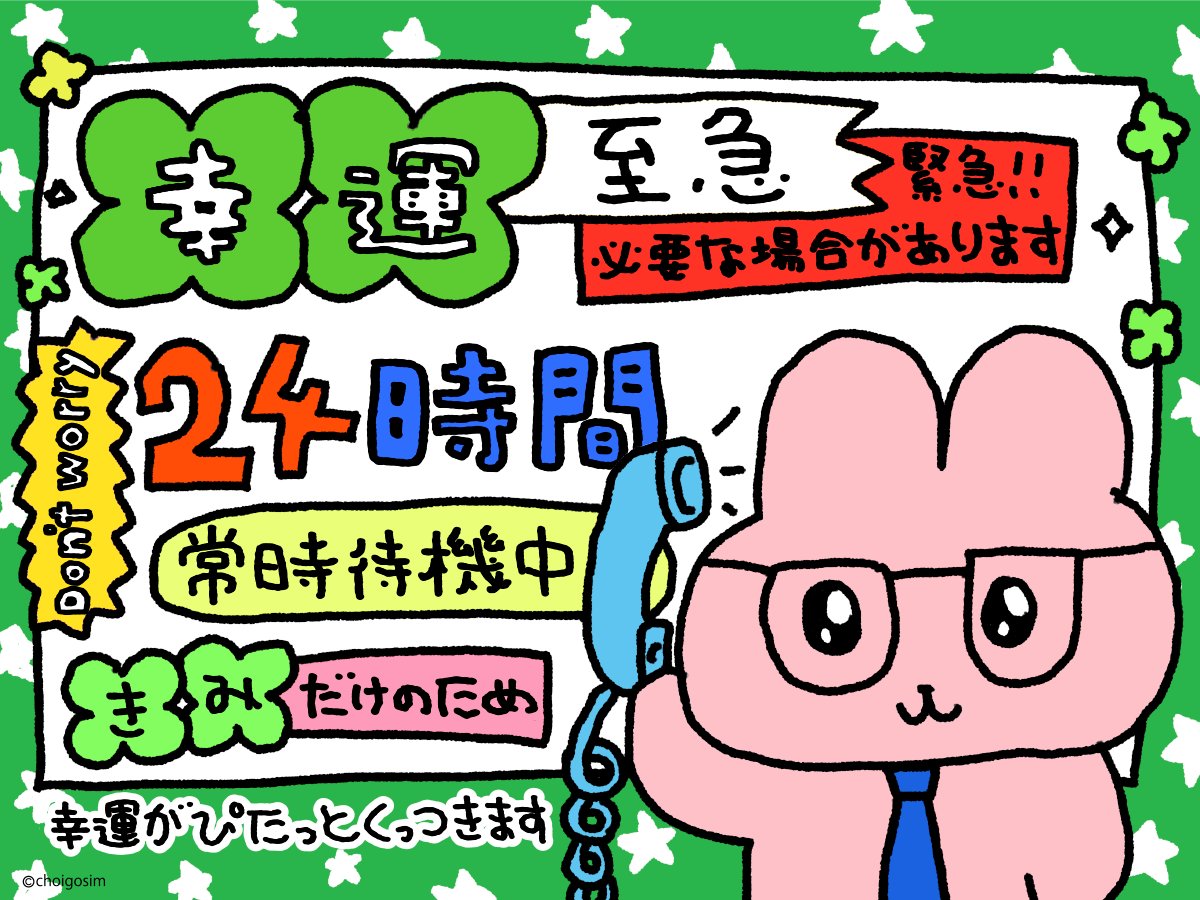 チェゴシム tweet media