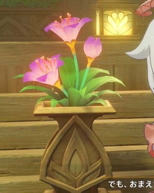 そういえばここの花って、魔神任務に出る紫赤のパティサラなのかな???

大きさ違うすぎてよく分からない( ´•ω•` )

※拾い忘れた旋曜玉帛を拾う途中に見た