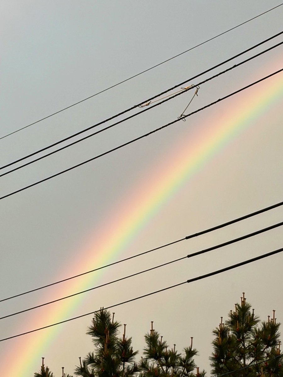 凱永愛莉(よしながあいり)【floomie's】 tweet media