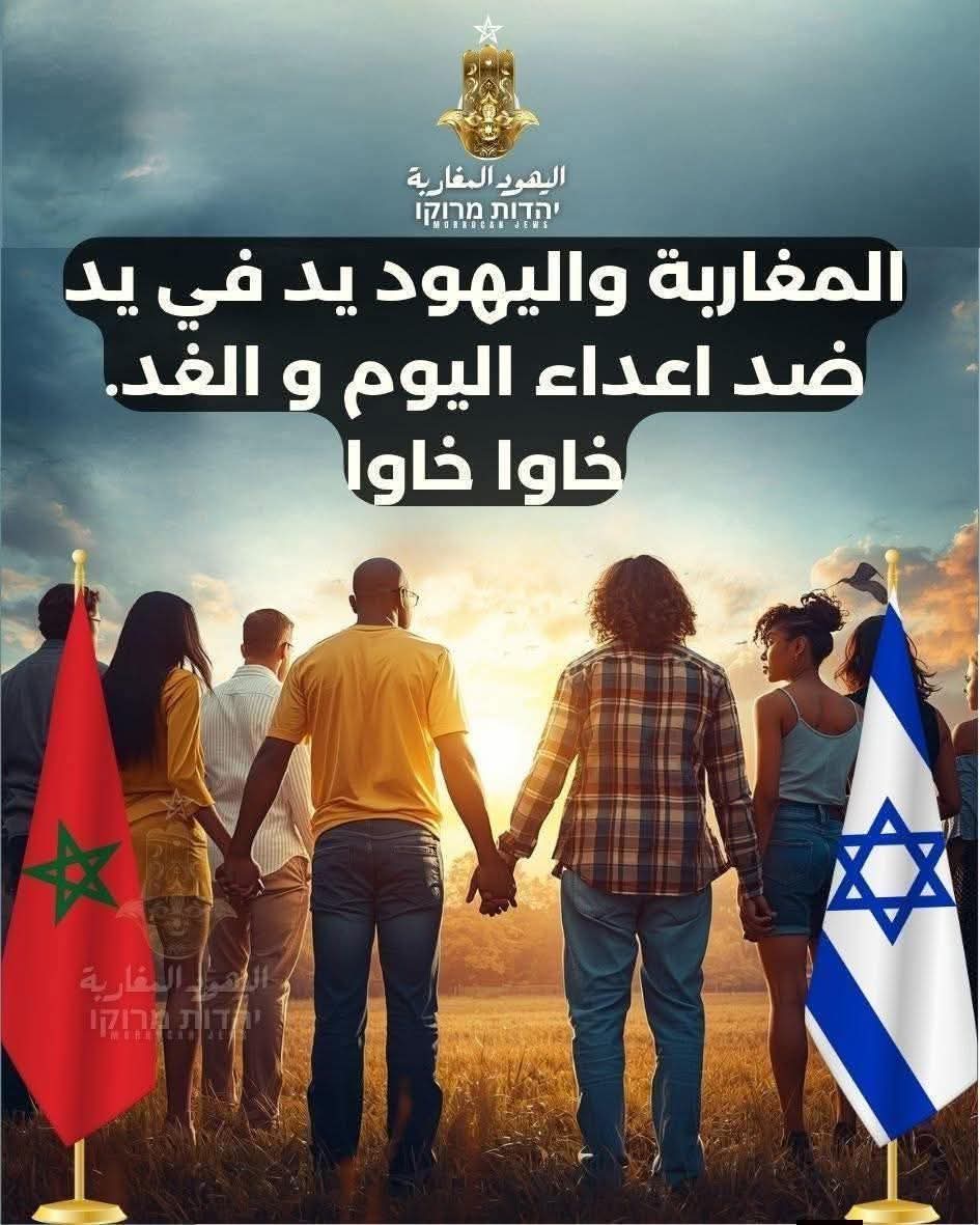 Moh Bekkali tweet media