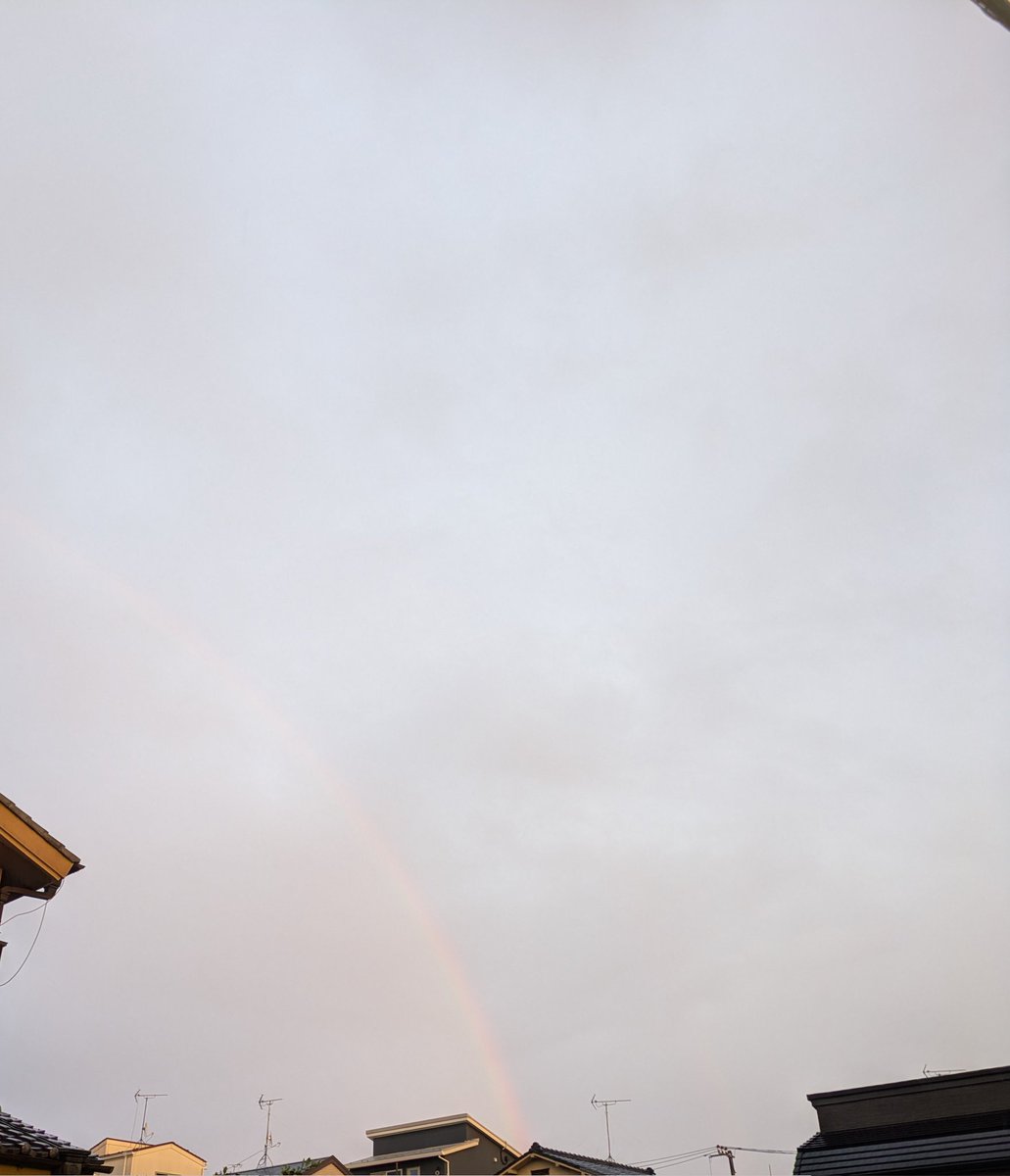 藤崎栞織 tweet media